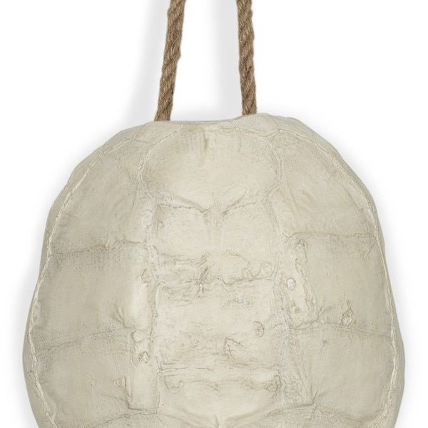 Turtle Shell Accessory